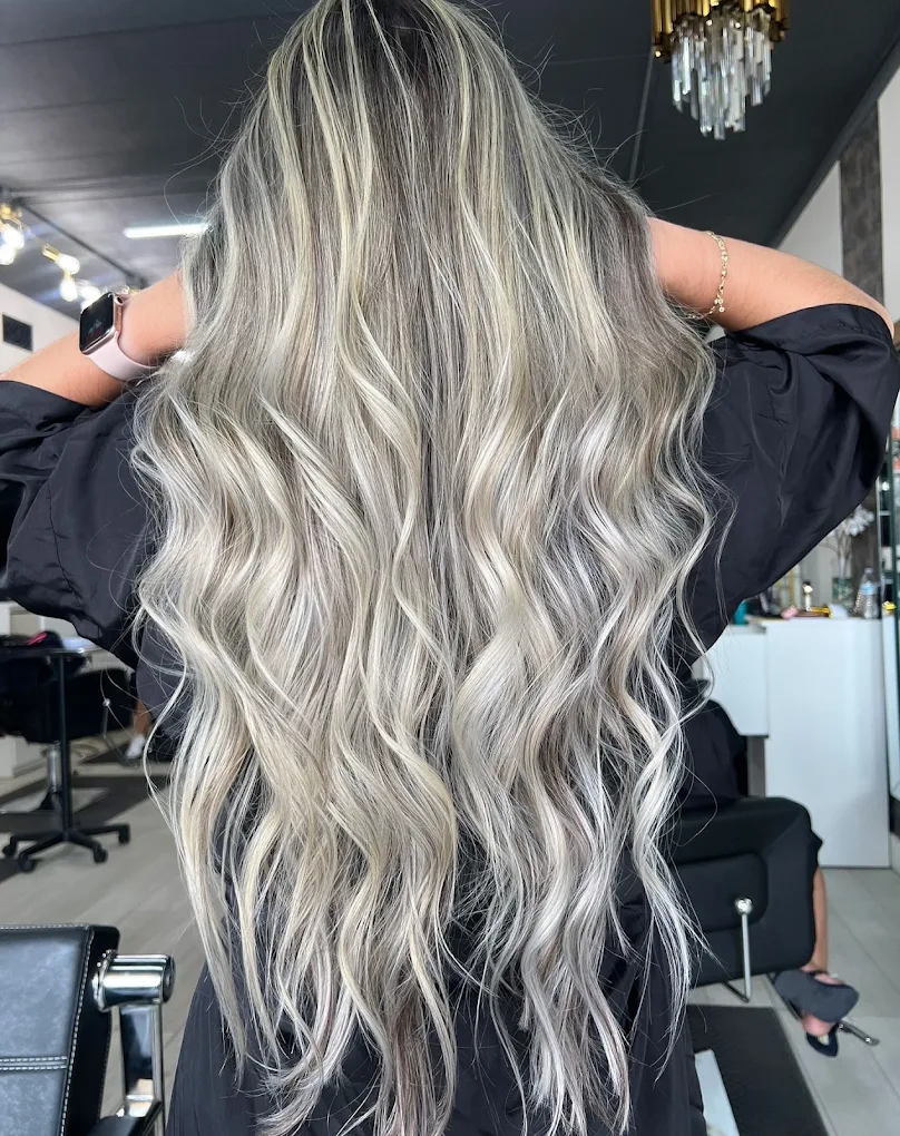 Silver Highlights